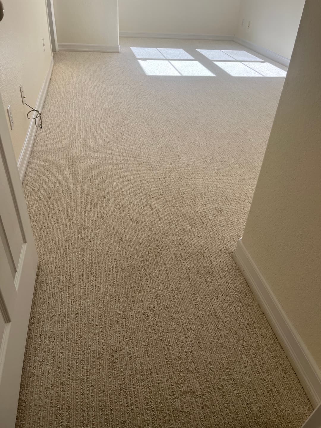 Light-filled room with new beige carpet and clean walls, showcasing a spacious layout.