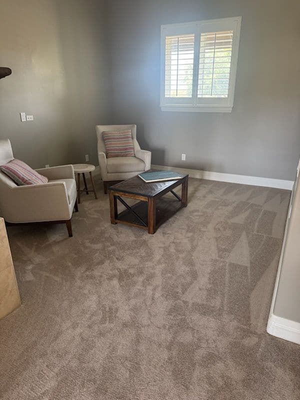 Wine Country Carpet Refresh for East Coast Move image